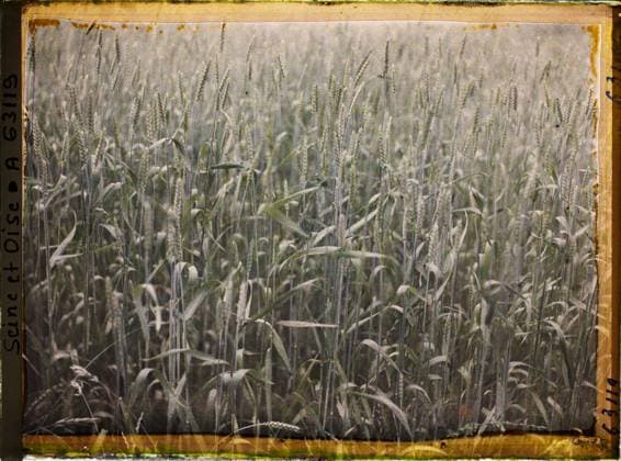 RECORD DATE NOT STATED Cormeilles-en-Parisis, France , 1930 - Ile -de -France - StÃ phane Passet - (May 1, July 8) (French - ï»¿Cormeilles-en-Parisis , France). Agriculture , breeding, wheat, cereal, vegetation , botany, Economic activity, nature , environment, Ile de France, Cormeilles en Parisis, wheat fields Copyright: xpiemagsx AKahnlpie020223-22361 !ACHTUNG AUFNAHMEDATUM GESCHÄTZT!