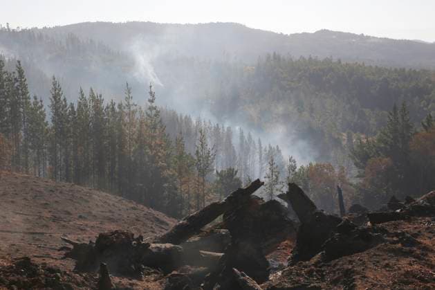 News Themen der Woche KW06 News Bilder des Tages Puren, 9 de Febrero 2023. Vista de un campo despuÃ s de la cosecha y de los incendios forestales de monocultivos en Puren. Esta medianoche comienza el toque de queda en las regiones de Nuble, Bio Bio y la Araucania. Marcelo Hernandez Aton Chile., Puren Chile Aton_680332 *** Puren, February 9, 2023 View of a field after the harvest and monoculture forest fires in Puren Tonight at midnight begins the curfew in the regions of Nuble, Bio Bio and Araucania Marcelo Hernandez Aton Chile , Puren Chile Aton 680332  Copyright: MARCELOxHERNANDEZ ATONxCHILE