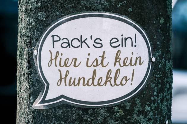 Düsseldorf 10.02.2023 Hund Hunde kein Hundeklo Grünanlage Kot Scheisshaufen Verbot Verbotsschild Hundehaufen Bussgeld Hundekot Hundehaufen Gassi Gehen gassigehen Kotbeutel Düsseldorf Nordrhein-Westfalen Deutschland *** Dusseldorf 10 02 2023 dog dogs no dog toilet green area excrement shit pile ban prohibition sign dog excrement fine dog excrement walking walking excrement bag Dusseldorf North Rhine Westphalia Germany