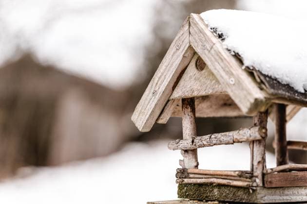 Kammlach, Bavaria, Germany - 29 January 2023: Wooden bird house covered with snow in winter *** Mit Schnee bedecktes Vogelhaus aus Holz im Winter