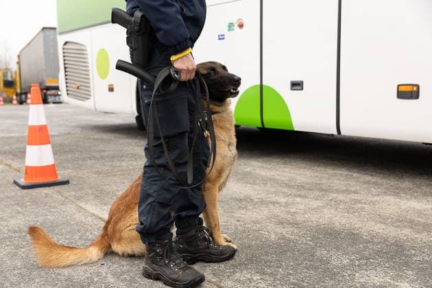 Illustration picture shows and a police dog pictured during a major control action Albatross by the police, customs and inspection services on the E40 highway in Wetteren, Thursday 16 February 2023. Federal and local police services, customs, various inspection services and a delegation of inspectors from the Netherlands and Denmark will today check trucks and buses at the motorway parking areas along the E40 in Wetteren. Coordinated by the East Flanders Road Police, under the watchful eye of the public prosecutor s office and labor auditor of East Flanders, they will check on various aspects of heavy transport: the tachograph, AdBlue, passenger transport regulations, alcohol and drugs, social legislation,  JAMESxARTHURxGEKIERE 59998473