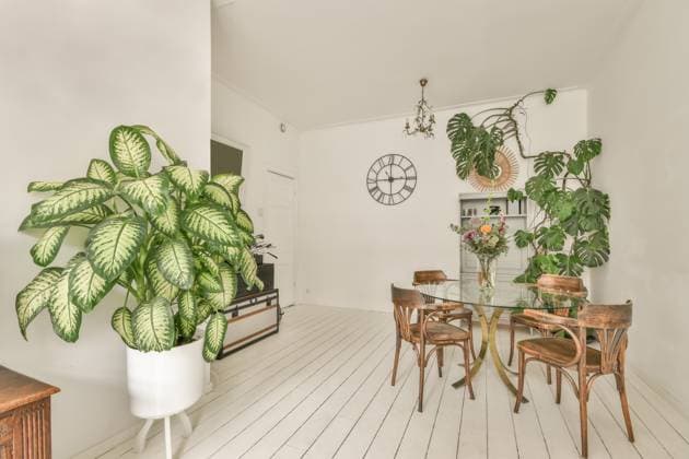 Interior design of dining room with glass table decorated by flowers in vase placed near shelves and TV set ProCreators_BurgemeesterHogguerstraat639_00051 Copyright: xProxCreatorsx Model Released