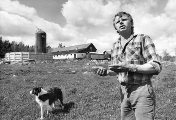 GÄVLE 1986 05 17 Farmer Lars Erik Jansson on his farm where he cannot let the animals go out to graze because of too high values of radioactive caesium in the grass after the meltdown in the Chernobyl nuclear power plant in Ukraine, Soviet Union, 26th April 1986, whe  Copyright: xRagnhildxHaarstad SvD TTx TJERNOBYLOLYCKAN 1986