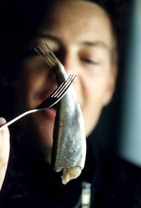 SCANPIX SWEDEN, 1998 08 17 Sour herring The image A fillet of sour herring impaled on a fork with a blurred face and a gaping mouth in the background x50040x  Copyright: xUlfxPalm TTx 50040