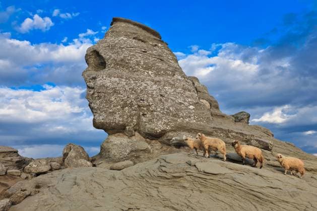 Creative Highlights World The Sphinx natural rock formation in Bucegi Mountains, Romania Copyright: xstelianxporojnicux xDesignxPicsx , 31927750  Copyright: stelianxporojnicux xDesignxPics 31927750