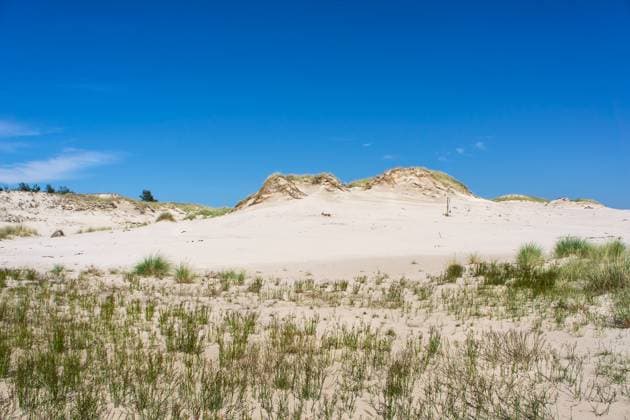 Dunes in Slowinski national park. Leba, Poland. Copyright: xMarinaxGlebovax xDesignxPicsx , 31929046 Copyright: AnnaxKhomulox xDesignxPics 31929046