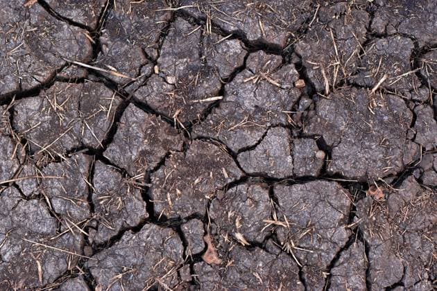 IMAGO Creative, Biodynamische Landwirtschaft Dry black soil with cracks. Denotes water scarcity or drought Dry black soil with cracks. Denotes water scarcity or drought Copyright: xZoonar.com RealityImagesx 17079357