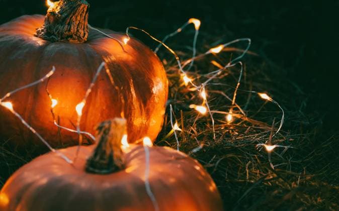 IMAGO Creative: Herbst, Lichtimpressionen Halloween pumpkins and fairy lights for Halloween party invitation design Halloween pumpkins and fairy lights for Halloween party invitation design Copyright: xZoonar.com NadezhdaxSobolevax 19262320