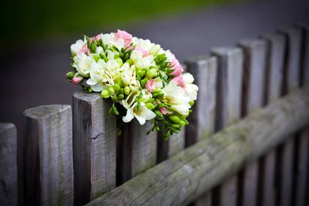Wedding bouquet with roses and freesia on rustic country fence Copyright: xCornelxStefanxAchireix xDesignxPicsx , 32058569  Copyright: PaoloxGalloxModenax-xP.IVAx11478570010x xDesignxPics 32058569