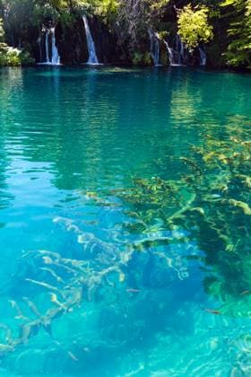 Summer view of beautiful small waterfalls and trunk of dry tree at the lake bottom (Plitvice Lakes National Park, Croatia) Copyright: xYuriyxBrykaylox xDesignxPicsx , 32059395 Copyright: YuriyxBrykaylox xDesignxPics 32059395