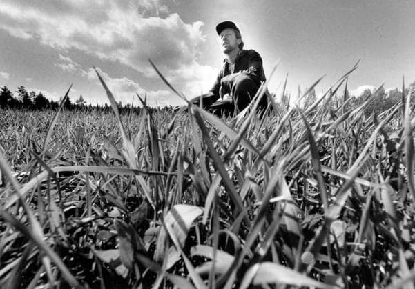 GÄVLE 1986 05 22 The farmer Mats Eriksson in Trödje in Gävle, sits in the forage grass that he had to destroy because it contains too high values of radioactive caesium, because of the meltdown in Chernobyl nuclear power plant in Ukraine, Soviet Union, April 2  Copyright: xTomasxOneborg SvD TTx TJERNOBYLOLYCKAN 1986