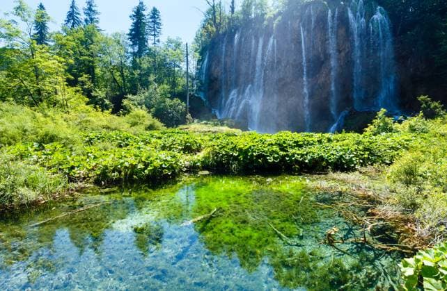 Summer view of large waterfall and clear lake with green plants at the bottom (Plitvice Lakes National Park, Croatia) Copyright: xYuriyxBrykaylox xDesignxPicsx , 32085851 Copyright: 32085851