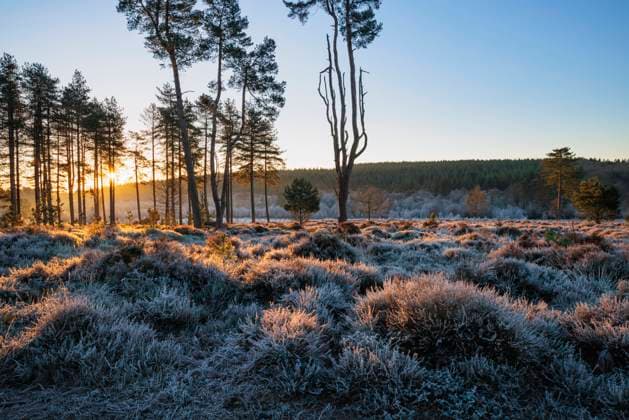 Sunrise at Cleddon Nature Reserve in the Wye Valley. Copyright: xLoopxImages DavidxCheshirex DCH00223040