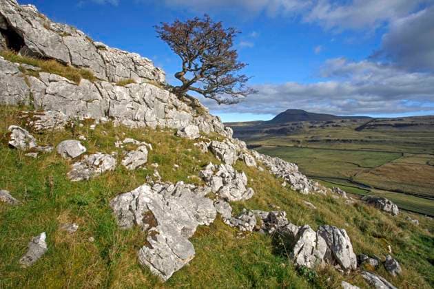Ingleborough which is one of Yorkshire?s famous Three Peaks viewed from Twisleton Scar End. Copyright: xLoopxImages GranvillexHarrisx GRH00523012
