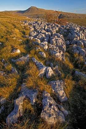 Ingleborough which is one of Yorkshire?s famous Three Peaks viewed from Twisleton Scar End. Copyright: xLoopxImages GranvillexHarrisx GRH00523015