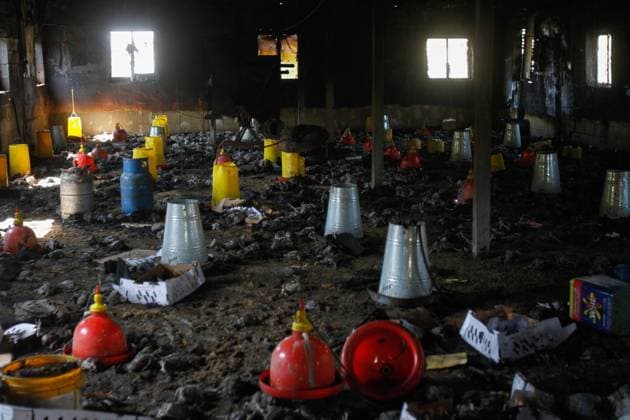 Bilder des Jahres 2023, News 02 Februar News Themen der Woche KW08 News Bilder des Tages February 26, 2023, Salfit, West Bank, Palestine: A view of dead chicken inside a poultry farm that was burnt down by the Jewish settlers near Salfit in the occupied West Bank. Salfit Palestine - ZUMAs197 20230226_zaa_s197_192 Copyright: xNasserxIshtayehx