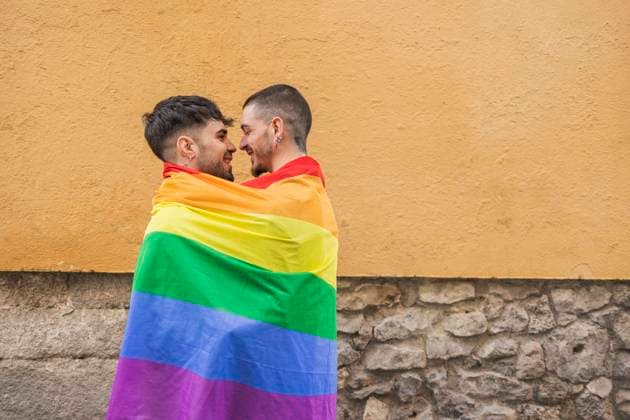 Happy gay couple covered in rainbow flag by wall model released, Symbolfoto property released, JCCMF09214