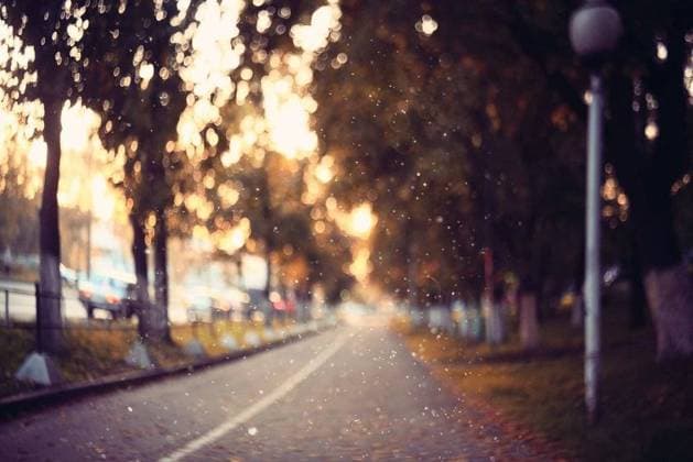 IMAGO Creative: Herbst, Lichtimpressionen RECORD DATE NOT STATED amazing autumn landscape in the city park