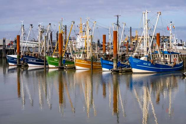 Fischerboote, Krabbenkutter im Hafen von Norddeich, Niedersachsen, Deutschland Hafen Norddeich *** Fishing boats, crab cutter in Norddeich harbor, Lower Saxony, Germany Norddeich harbor