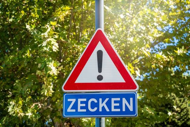 26 February 2023: Warning sign in front of green trees with the inscription: Ticks PHOTOMONTAGE *** Warnschild vor grünen Bäumen mit der Aufschrift: Zecken FOTOMONTAGE