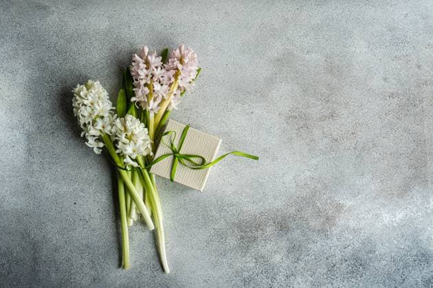 From above flat lay of hyacinth flowers near gift box with ribbon on concrete background AnnaBogush_ID12998_395379_015 Copyright: xAnnaxBogushx Model Released