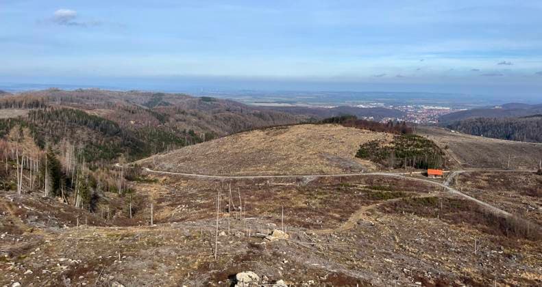 Baumsterben im Ostharz von Wernigeroder aus ueber Ottofelsen Richtung Brocken Baumsterben in Deutschland *** Tree death in the eastern Harz mountains from Wernigeroder over Ottofelsen towards Brocken Tree death in Germany