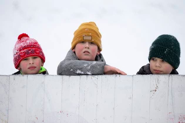 Three funny little boys are watching Three funny little boys are watching from behind the fence. Copyright: xZoonar.com Svetlanax 18399496 ,model released, Symbolfoto ,property released