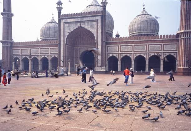 Indien 1999 IND, Indien, Neu-Delhi: Selten sind Glanz und Elend so nah beieinander wie in Indien, hier am 20.10.1999, sowohl in der Hauptstadt Neu-Delhi, Agra als auch in Zentralindien wo diese Fotoeindrücke entstanden. IND, India, New Delhi: Splendor and misery are seldom as close together as in India, here on October 20th, 1999, both in the capital New Delhi, Agra and in central India where these photo impressions were taken. *** India 1999 IND, India, New Delhi Splendor and misery are seldom as close together as in India, here on October 20th, 1999, both in the capital New Delhi, Agra and in central India where these photo impressions were taken IND, India, New Delhi Splendor and misery are seldom as close together as in India, here o