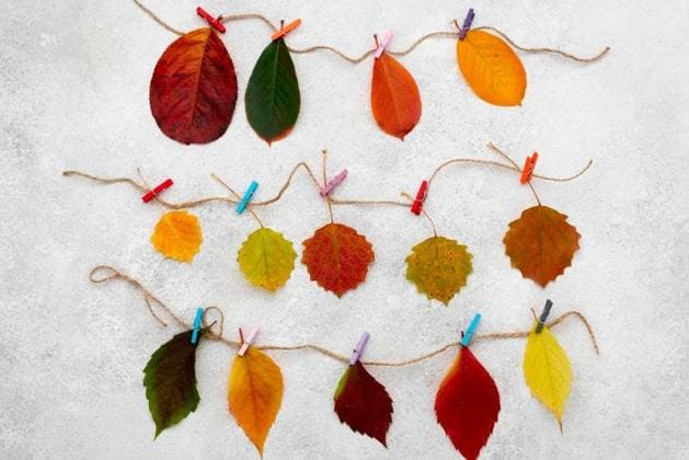 IMAGO Creative: Herbst, Illustrationen RECORD DATE NOT STATED top view beautiful autumn leaves strings