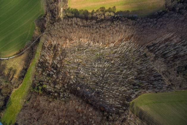 Luftbild, Waldschäden, Waldgebiet Am Löhbach, Fröndenberg, Ruhrgebiet, Nordrhein-Westfalen, Deutschland !ACHTUNGxMINDESTHONORARx60xEURO! *** Aerial photo, forest damage, forest area Am Löhbach, Fröndenberg, Ruhr area, North Rhine-Westphalia, Germany ATTENTIONxMINESTHONORARx60xEURO
