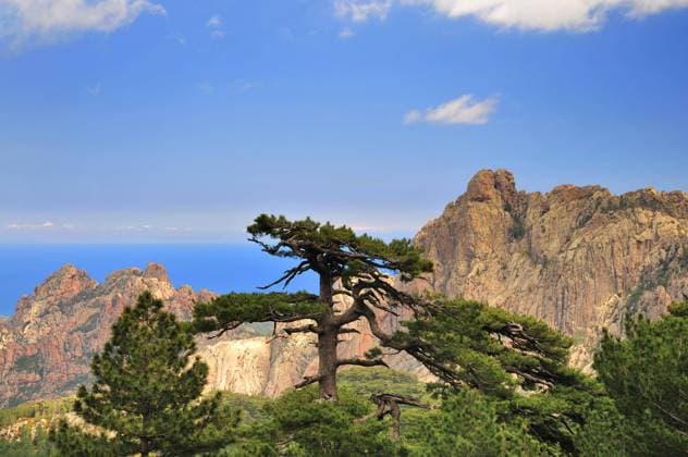 Das Bavella-Massiv im Osten von Korsika, Frankreich, Europa *** the Bavella massive at East from corsica, France, Europe Copyright: imageBROKER alimdix xReinholdxRatzer iblohh09050381.jpg