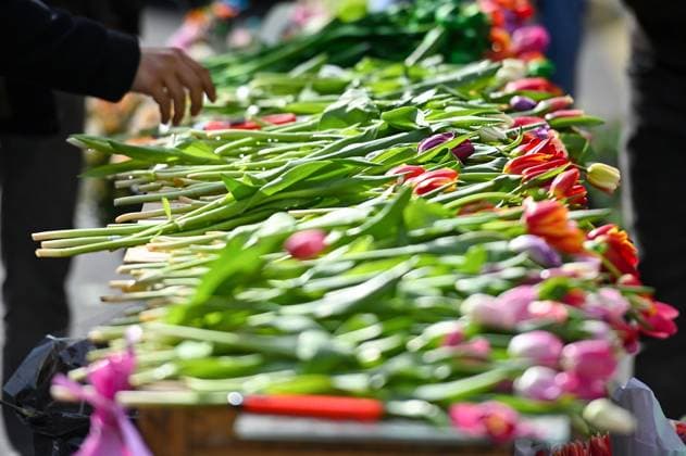 News Bilder des Tages Azerbaijan Women?s Day 8386959 08.03.2023 A vendor sells flowers in a street on the International Women s Day, in Baku, Azerbaijan. Murad Orujov Sputnik Baku Azerbaijan  Copyright: xMuradxOrujovx