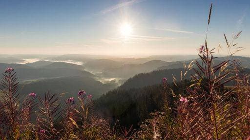 RECORD DATE NOT STATED The bright sun in the blue sky shining above Black Forest mountain range in Germany *** der Hell Sonne ÊIn der Blau Himmel Leuchtende oben Schwarz Wald Berg Spannbreite ÊIn Deutschland 10437901