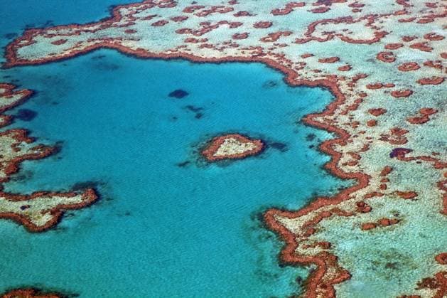 Luftaufnahme des herzförmigen Heart Reefs, Teil des Great Barrier Reefs der Whitsundays im Korallenmeer, Queensland, Australien, Ozeanien *** Aerial view of heart-shaped Heart reefs, Part of Great Barrier Reefs the Whitsundays at coral sea, Queensland Australia, Oceania Copyright: imageBROKER alimdix xArterra ibltsm09076550.jpg