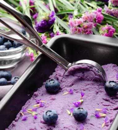 Blackberry icecream in metal tray served with flower buds and blackberries on kitchen table Blackberry icecream in metal tray served with flower buds and blackberries on kitchen table Copyright: xZoonar.com OlenaxMykhaylovax 17813861