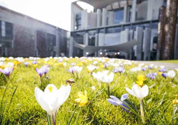 News Themen der Woche KW11 News Bilder des Tages Krokusse vor dem Bundeskanzleramt in Berlin. 13.03.2023. Berlin Deutschland *** Crocuses in front of the Federal Chancellery in Berlin 13 03 2023 Berlin Germany Copyright: xFelixxZahn photothek.netx