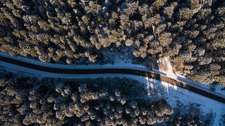 Eine Strasse geht durch die Winterlandschaft im Hochschwarzwald. Die Tannen sind typisch für die Region. (Schluchsee, Deutschland, 17.12.2023)