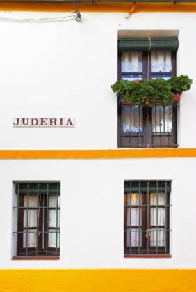 Juderia street Old house on Juderia street in Seville Copyright: xZoonar.com RomanxSigaevx 4518195