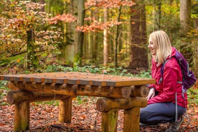 Frau vor Waldorgel im Wald, Schömberg, Schwarzwald, Deutschland, Europa