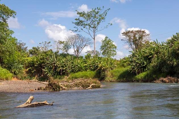 Creative Highlights World Muelle San Carlos, Costa Rica, Rio Penas Blancas, ein Fluss im Norden Costa Ricas, Mittelamerika *** Muelle San Carlos, Costa Rica, Rio Penas blancas, a River at North Costa ricans, Central America Copyright: imageBROKER/JimxWest ibljiw09103957.jpg