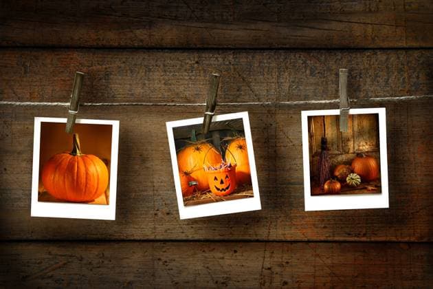 IMAGO Creative: Herbst, Illustrationen Halloween photos on distressed wood background Copyright: xSandraxCunninghamx xDesignxPicsx , 30344802 Copyright: KarinxClausx xDesignxPics 30344802