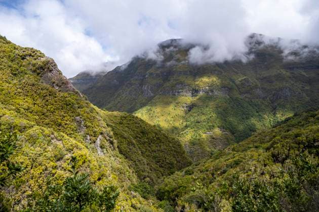 Creative Highlights World Grüner Wald und Hügel von Rabacal, Paul da Serra, Madeira, Portugal, Europa *** green Forest and Hill from Rabacal, Paul as Serra, Madeira, Portugal, Europe Copyright: imageBROKER/MoritzxWolf ibxmmw09055561.jpg