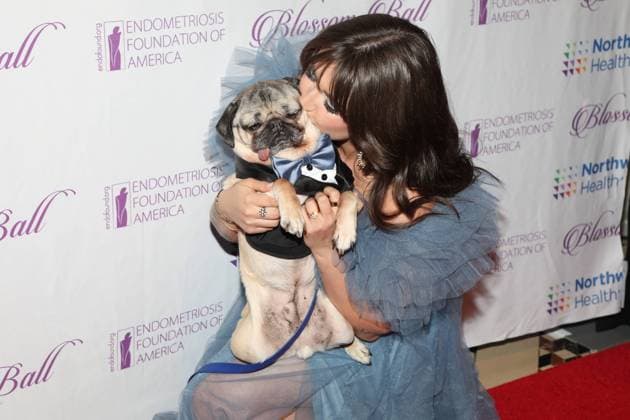 Entertainment Themen der Woche KW12 Treffen der Endometriose Stiftung in New York 11th Annual Endometriosis Foundation of America?s Blossom Ball Honoring Olivia Culpo and Corinne Foxx with the Blossom Award held at Cipriani 42nd Street on March 20, 2023 in New York, NY Featuring: Leslie Mosier, Doug The Pug Where: New York, New York, United States When: 20 Mar 2023 Credit: Udo Salters startraksphoto.com Copyright: xx 52547685 EDITORIAL USE ONLY. NOT FOR USE BY NEWSPAPERS BASED IN THE UK.
