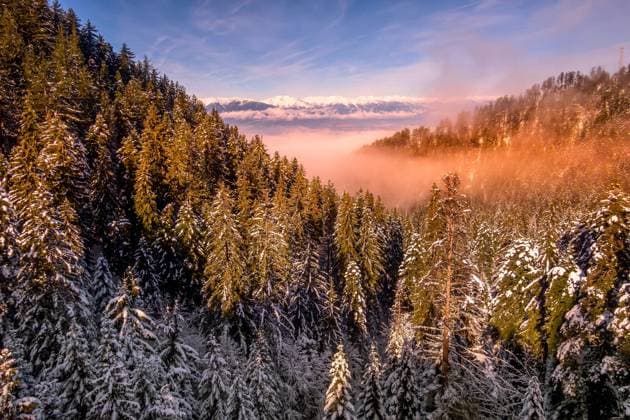colorful sunset in snow mountains forest Colorful winter landscape with pink sunset view, pine trees and snow mountain peaks Copyright: xZoonar.com NataliyaxNazarovax 16021772