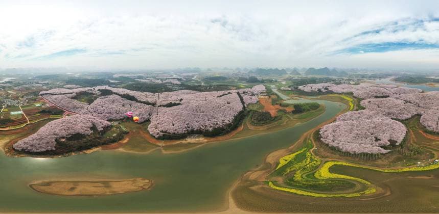 News Themen der Woche KW12 News Bilder des Tages (230322) -- GUIYANG, March 22, 2023 -- This aerial panoramic photo taken on March 21, 2023 shows blooming cherry blossoms at a cherry garden in Guian New Area, southwest China s Guizhou Province. A cherry garden of the Guian New Area, covering an area of 24,000 mu (about 1,600 hectares), has attracted a large flow of tourists during the blooming season of cherry blossoms. ) CHINA-GUIZHOU-GUIYANG-CHERRY BLOSSOM (CN) YangxWenbin 
