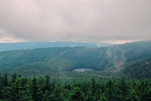 RECORD DATE NOT STATED A rainy view to the lake in the middle of forest at Sumava, Czech republic *** einer verregnet Ansicht an der See ÊIn der Mitte des Wald im Sumava, Tschechische Republik 15106671