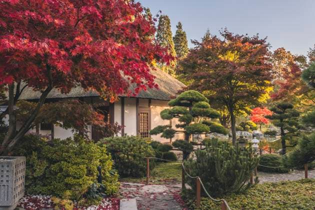 Germany, Hamburg, Japanese teahouse in Planten un Blomen park property released, KEBF02627