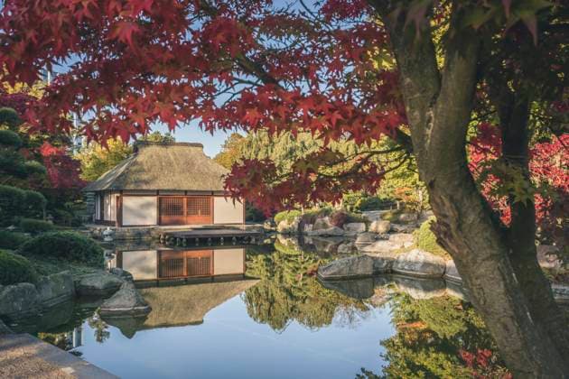 Germany, Hamburg, Pond and Japanese teahouse in Planten un Blomen park property released, KEBF02629