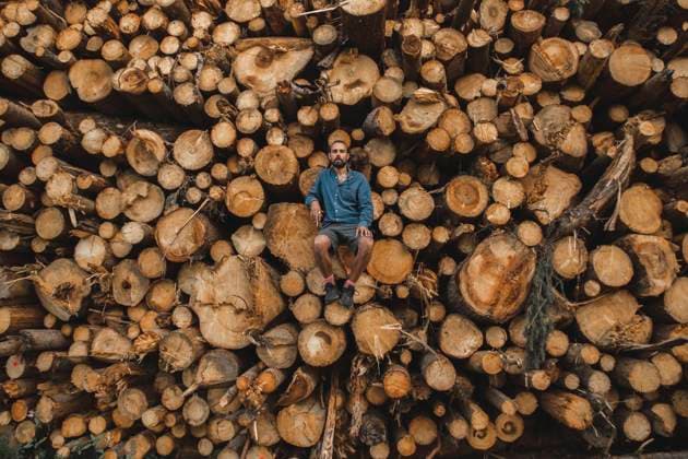 Creative Highlights Symbolbilder Man sitting on pile of logs at lumberyard model released, Symbolfoto, PCLF00255