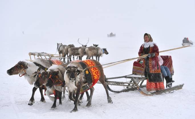 News Themen der Woche KW12 News Bilder des Tages Russia Reindeer Herders Day 8399202 26.03.2023 A participant rides a sled during a reindeer race on the Reindeer Herders Day in the city of Salekhard, in Yamal-Nenets Region, 2500 kilometres northeast of Moscow, Russia. The Reindeer Herder s Day is celebrated annually in Russias Yamal-Nenets region in the Arctic and for the Nenets people, it offers a chance to show their prowess in wrestling, high jumps and other traditional sports, but, above all, reindeer races. Pavel Lisitsyn Sputnik Salekhard Russia  Copyright: xPavelxLisitsynx
